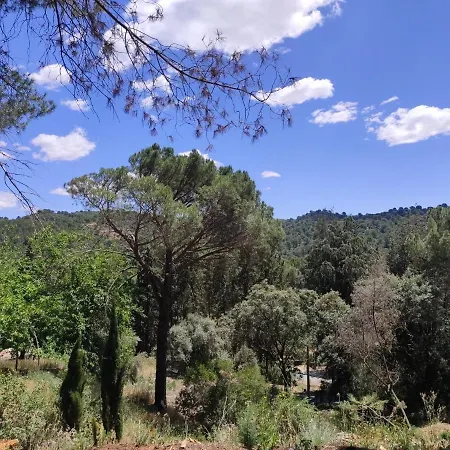 Bonita Casa Blanca En El Bosque. *