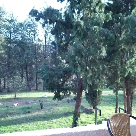 Bonita Casa Blanca En El Bosque.