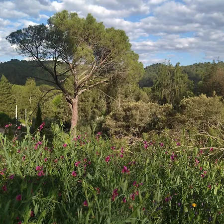 Bonita Casa Blanca En El Bosque. בית כפרי