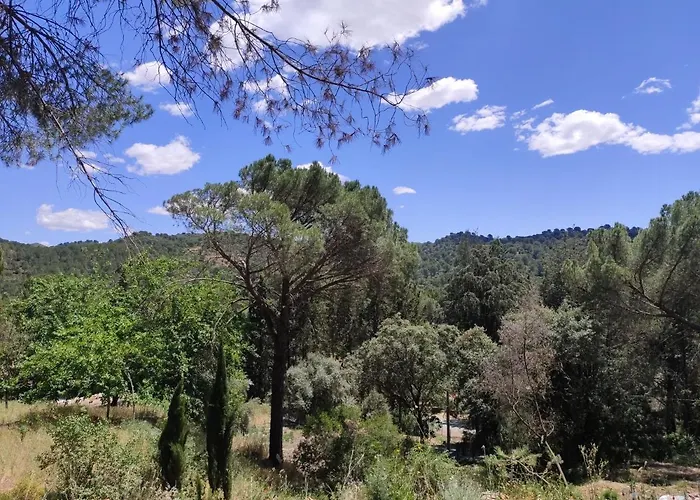 Bonita Casa Blanca En El Bosque. *