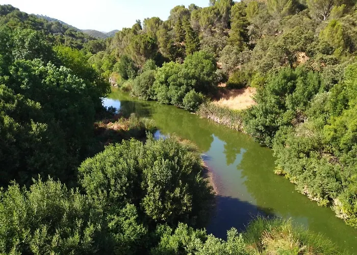 Bonita Casa Blanca En El Bosque.