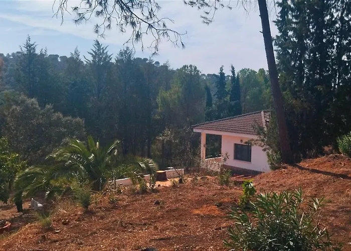 Casa di campagna Bonita Casa Blanca En El Bosque. *