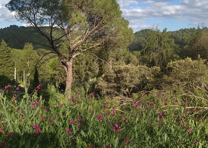 Bonita Casa Blanca En El Bosque. Casa di campagna