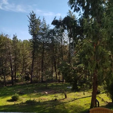 Bonita Casa Blanca En El Bosque.