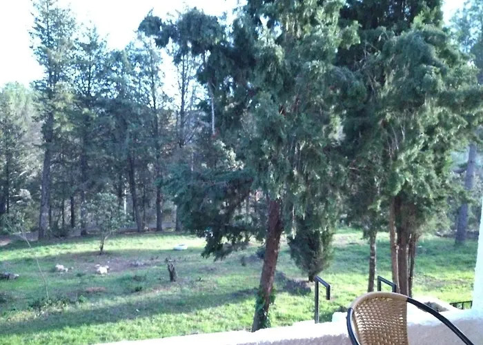 Bonita Casa Blanca En El Bosque.