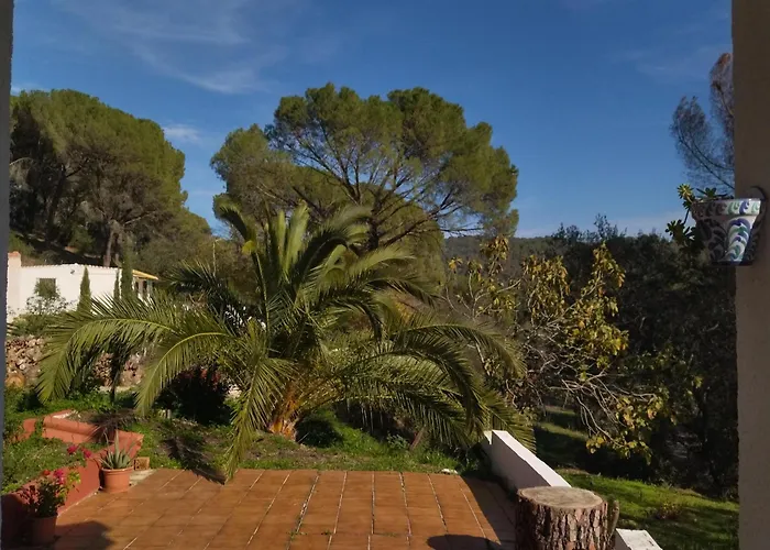 Bonita Casa Blanca En El Bosque. *
