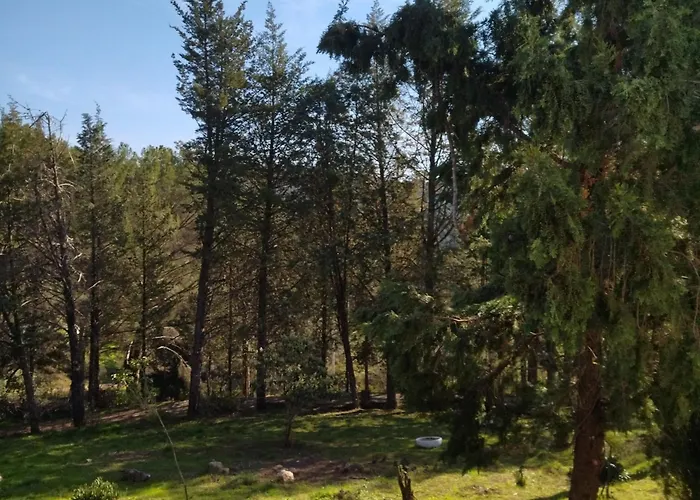 Bonita Casa Blanca En El Bosque.